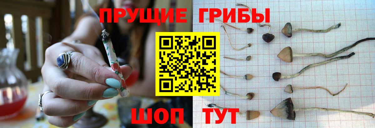 Псилоцибиновые грибы Magic Shrooms Луховицы