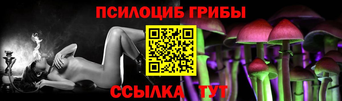 Луховицы  Псилоцибиновые грибы Psilocybe  Вход с VPN 